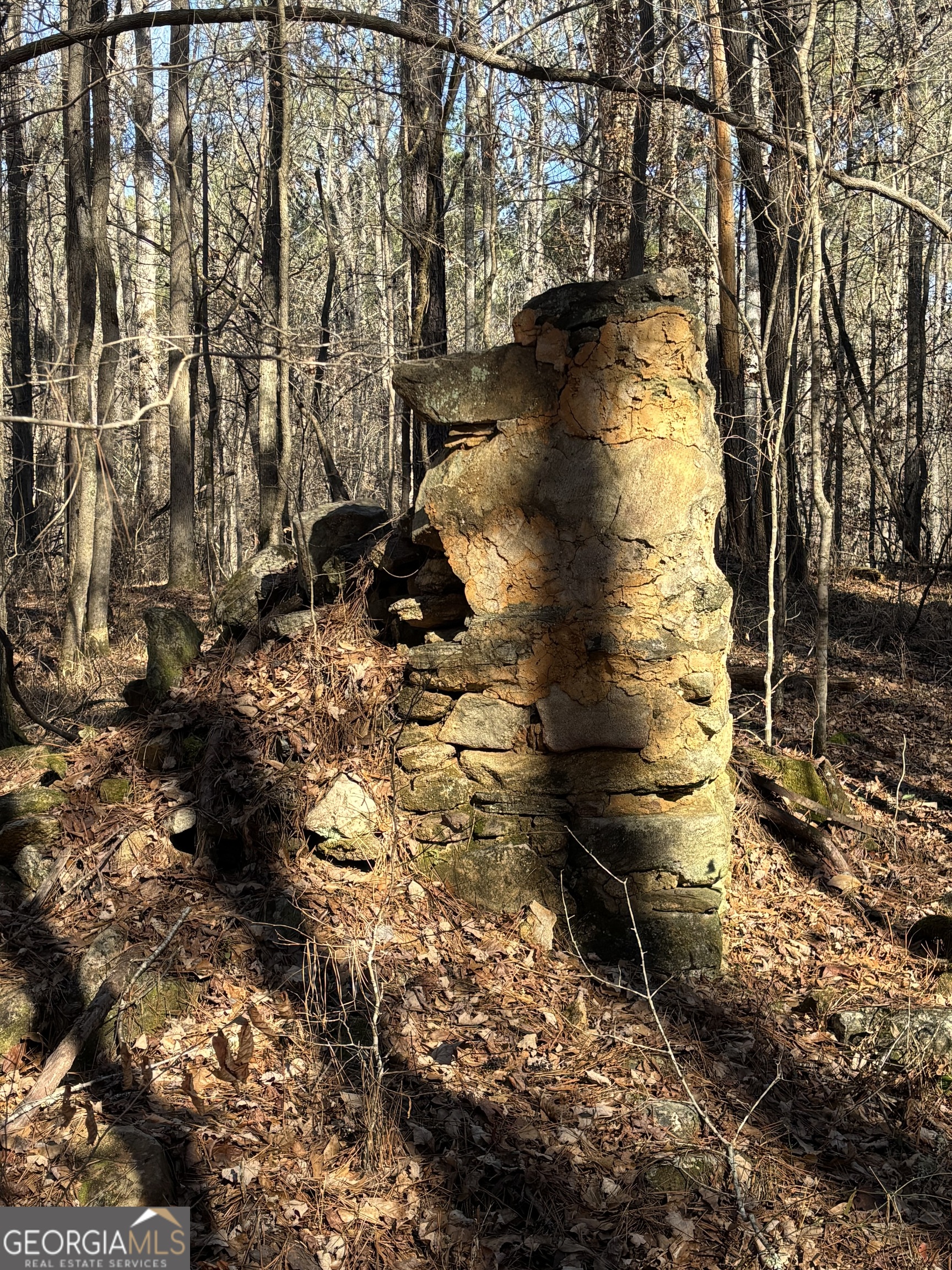 0 Carl Mathis Road Talbotton, GA 31827 - Photo 7 of 11 a view of yard