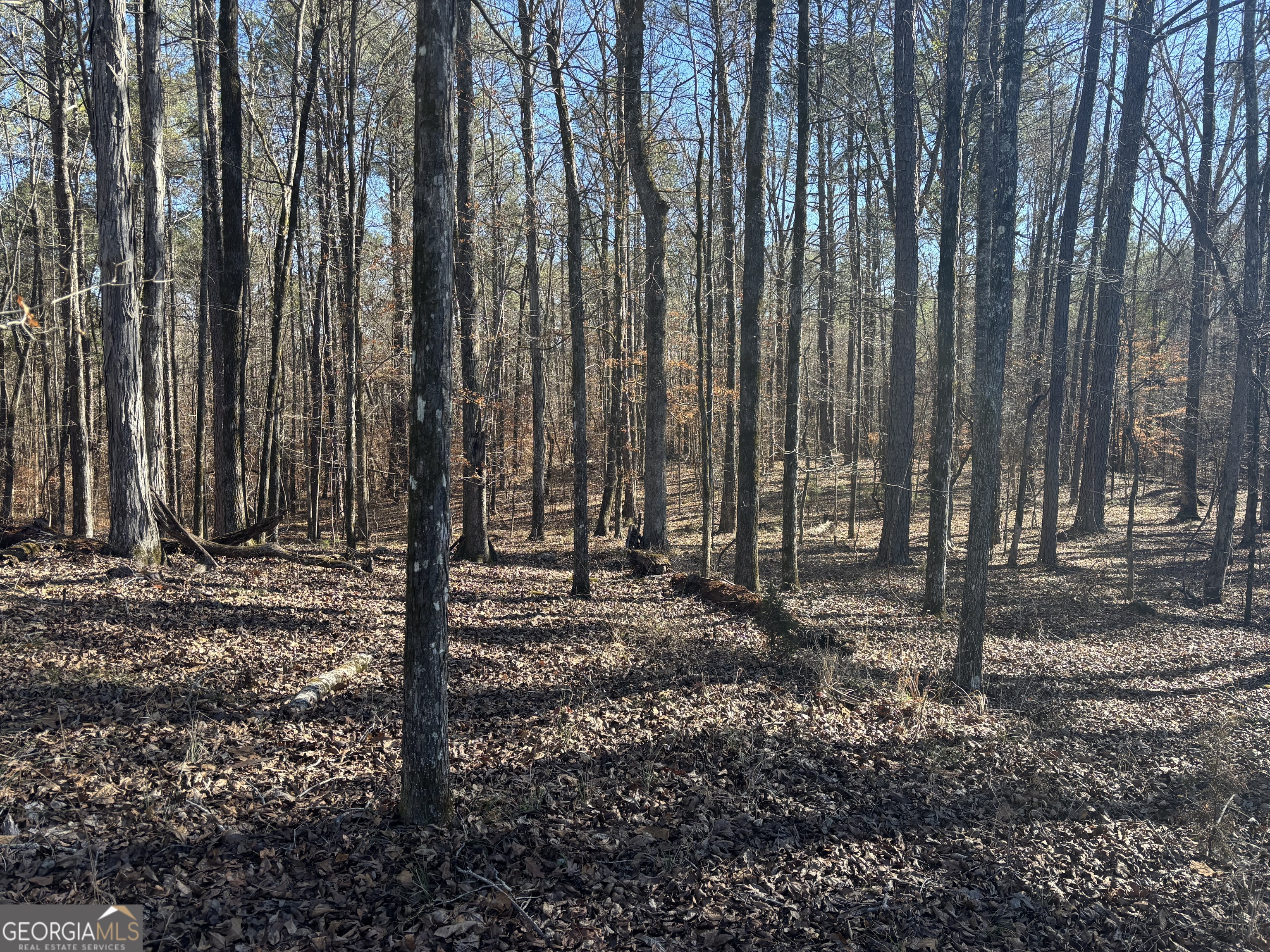 0 Carl Mathis Road Talbotton, GA 31827 - Photo 9 of 11 a view of a backyard with trees
