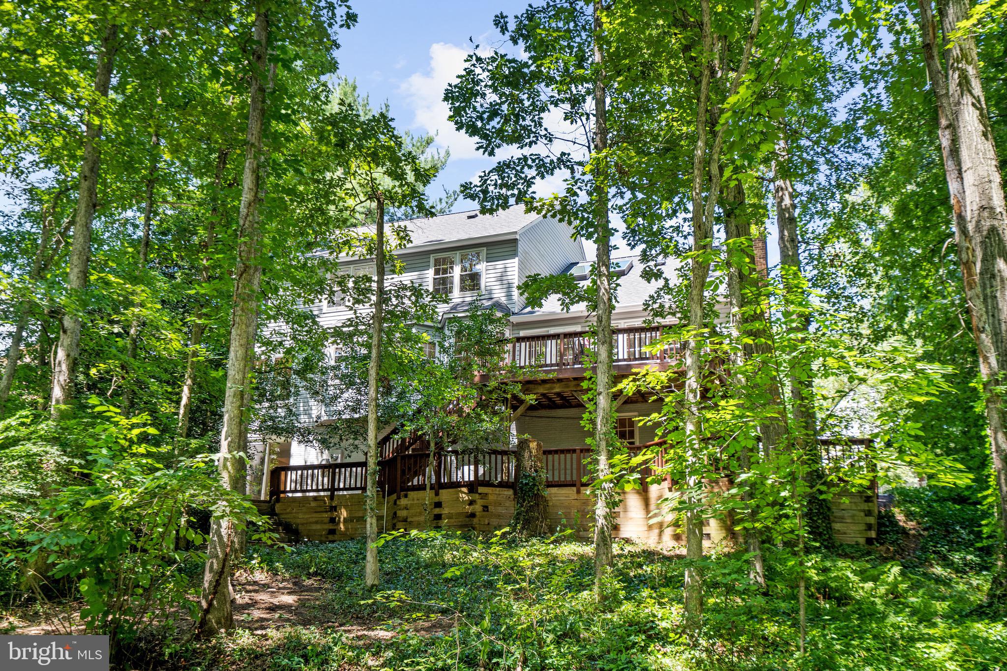 6829 Spring Beauty Court Springfield, VA 22152 - Photo 42 of 50