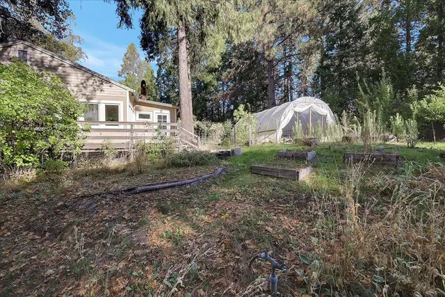 a view of a backyard with table and chairs and a large tree