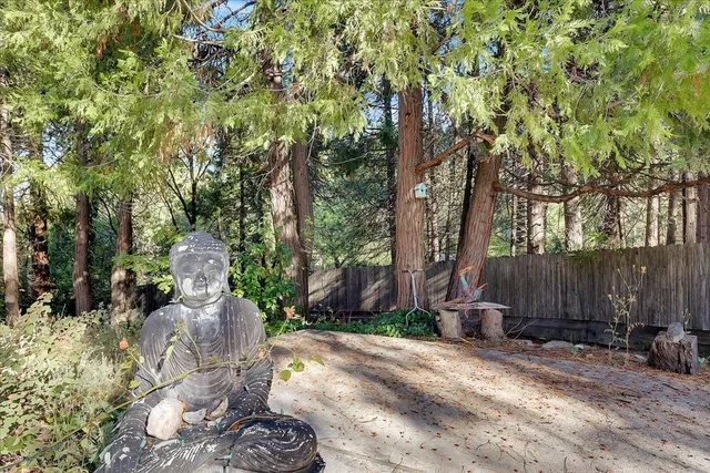 a view of a garden with a pathway