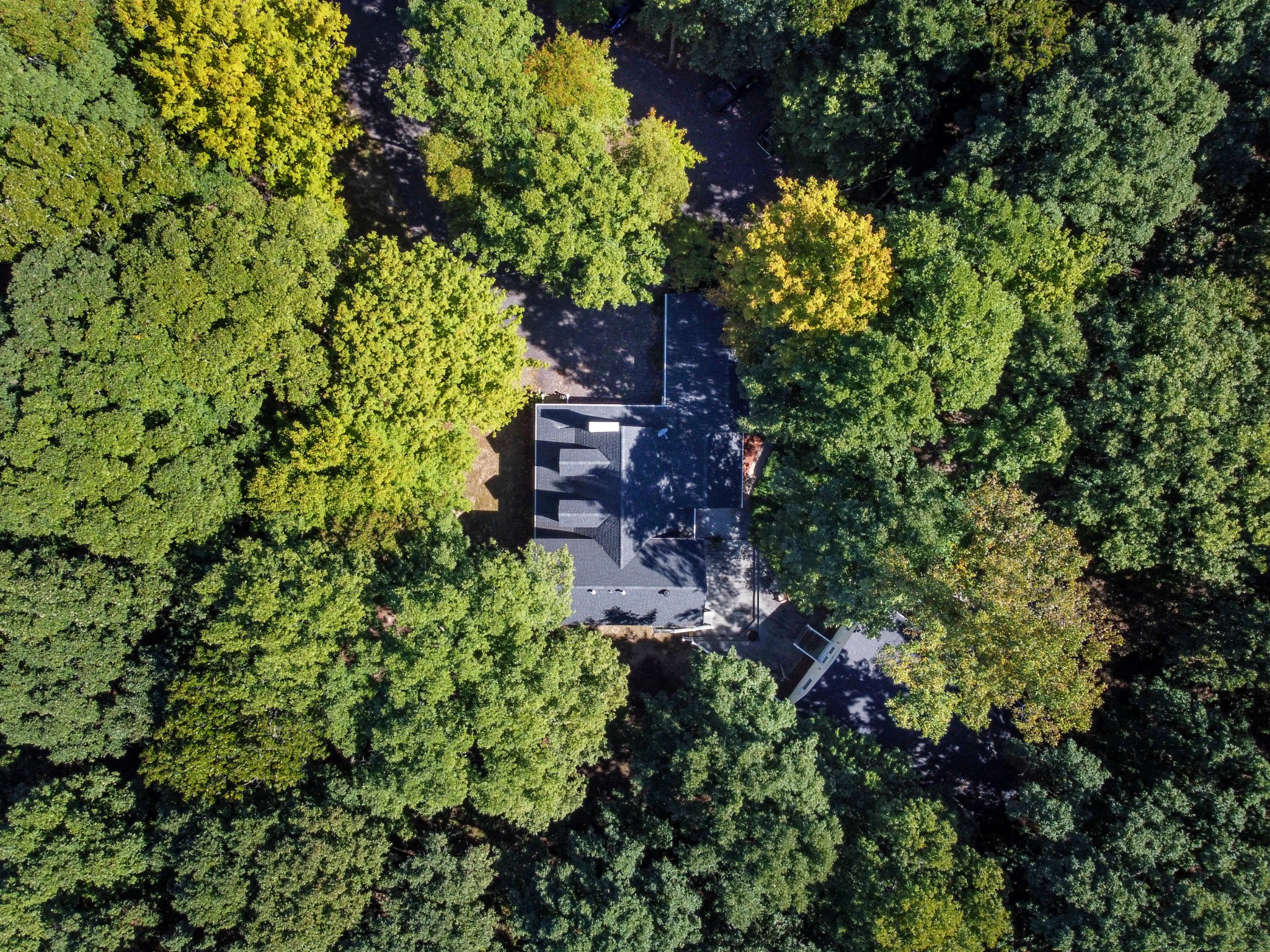 634 Murrell Road Dickson, TN 37055 - Photo 4 of 46 a plant that is in a garden