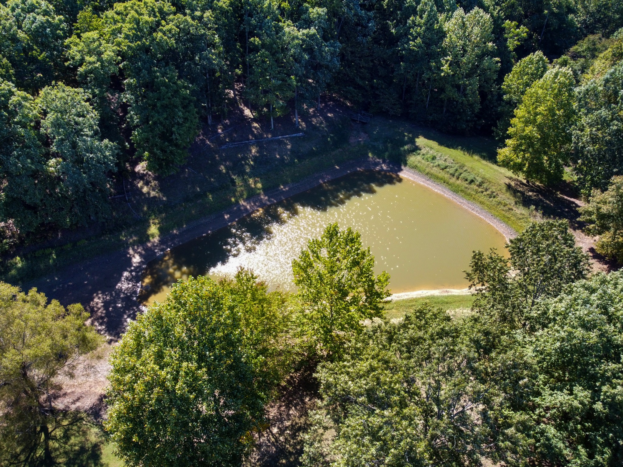 634 Murrell Road Dickson, TN 37055 - Photo 5 of 46 a view of a tree in a yard