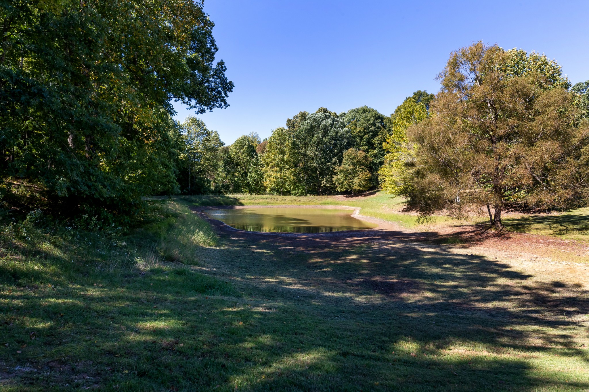 634 Murrell Road Dickson, TN 37055 - Photo 8 of 46 a view of a lake with trees all around