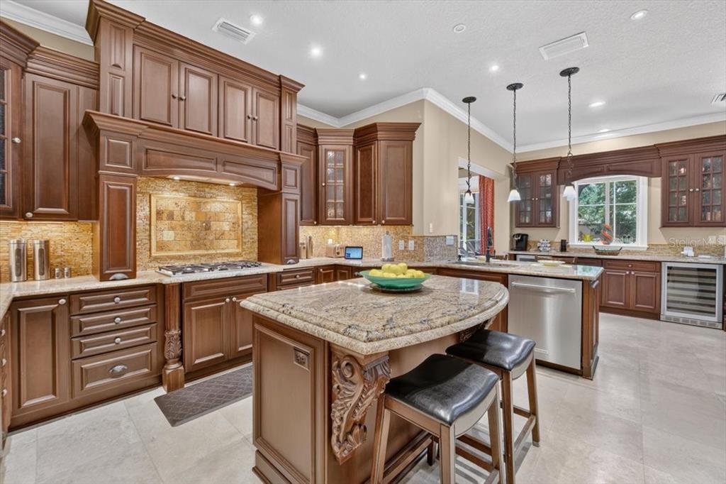 15707 Cochester Road Tampa, FL 33647 - Photo 16 of 95