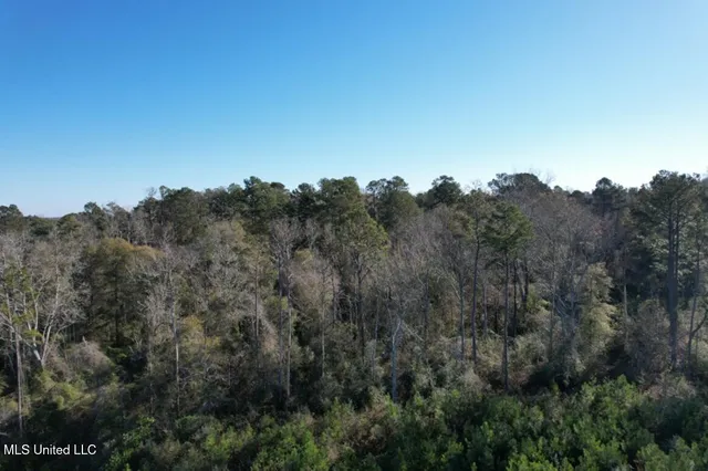 $45,000 | Ms-35, Mize, MS 39116