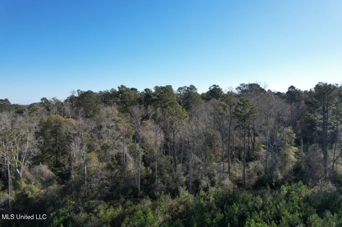 Ms-35 Mize, MS 39116 - Photo 4 of 7 Picture2