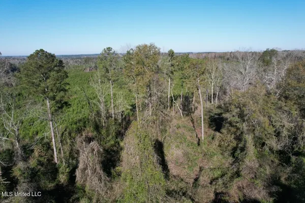 $38,000 | Ms-35, Mize, MS 39116