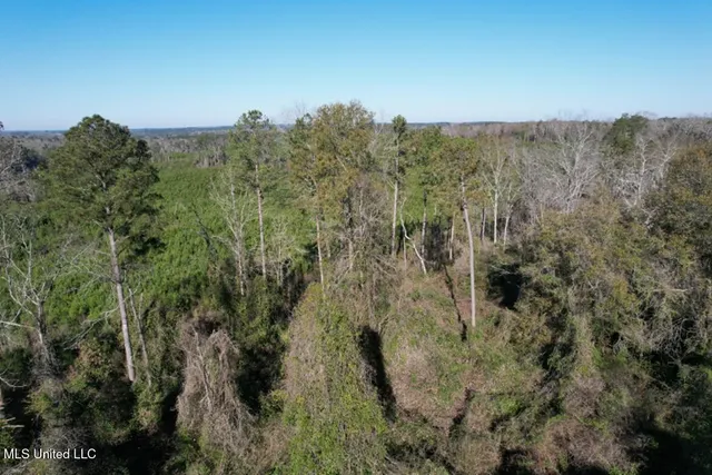 $45,000 | Ms-35, Mize, MS 39116