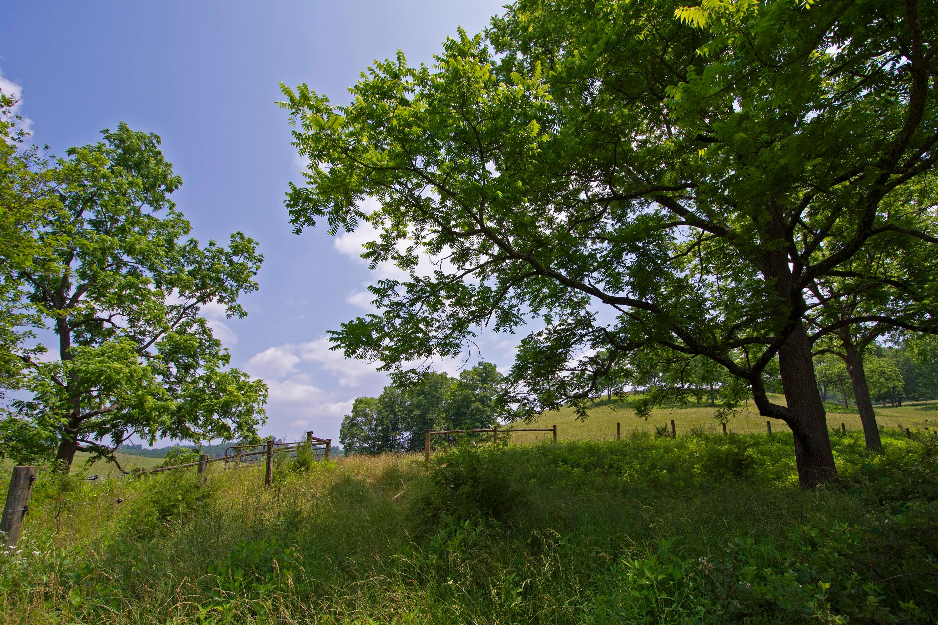 106 Creamery Road Pence Springs, WV 24962 - Photo 133 of 153 Gallery Image 133
