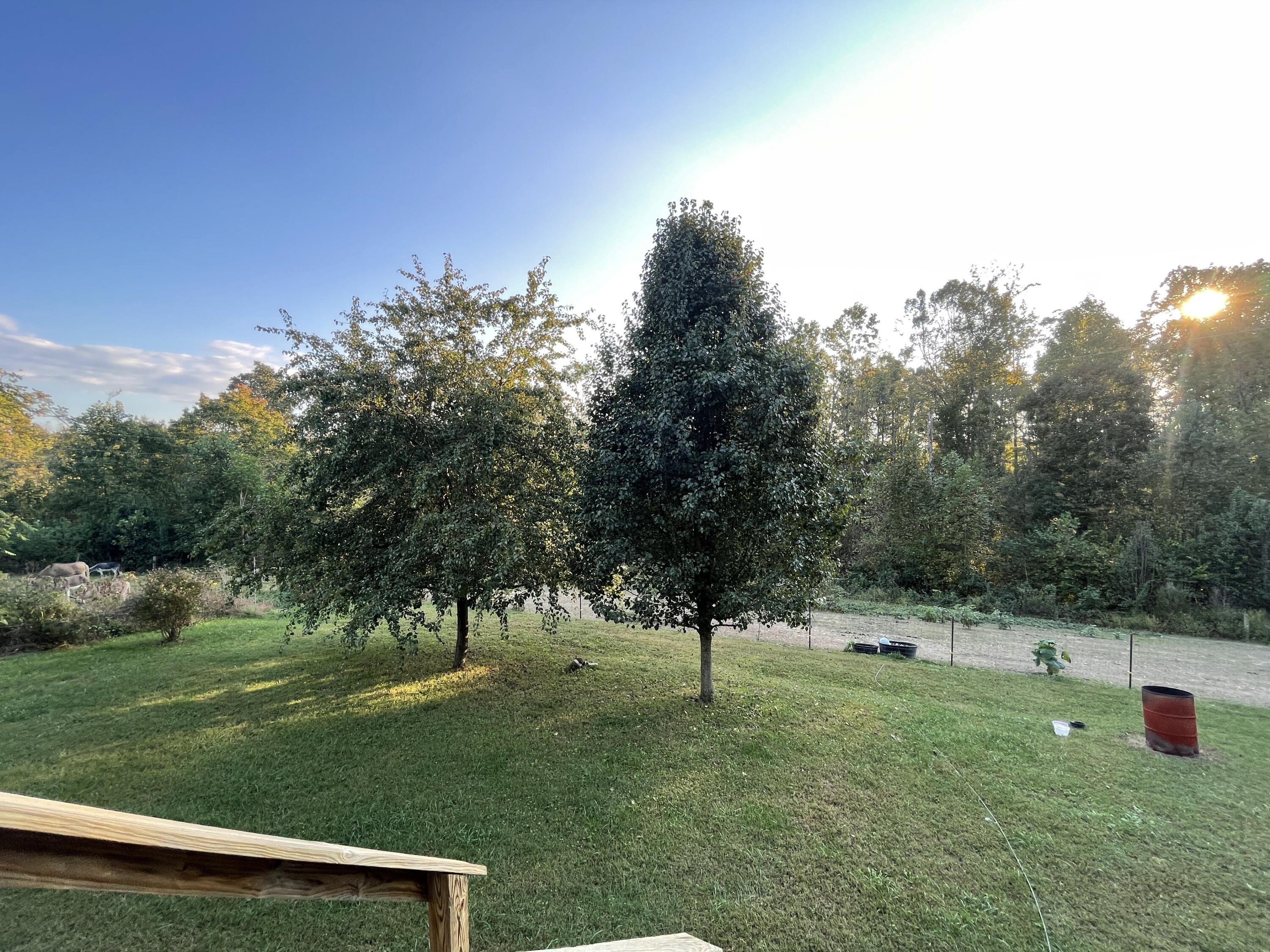 149 Basil Roy Spur Road Windsor, KY 42565 - Photo 20 of 29 IMG_6323