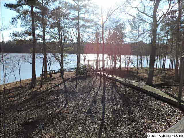 229 Hanson Road Wedowee, AL 36278 - Photo 2 of 27
