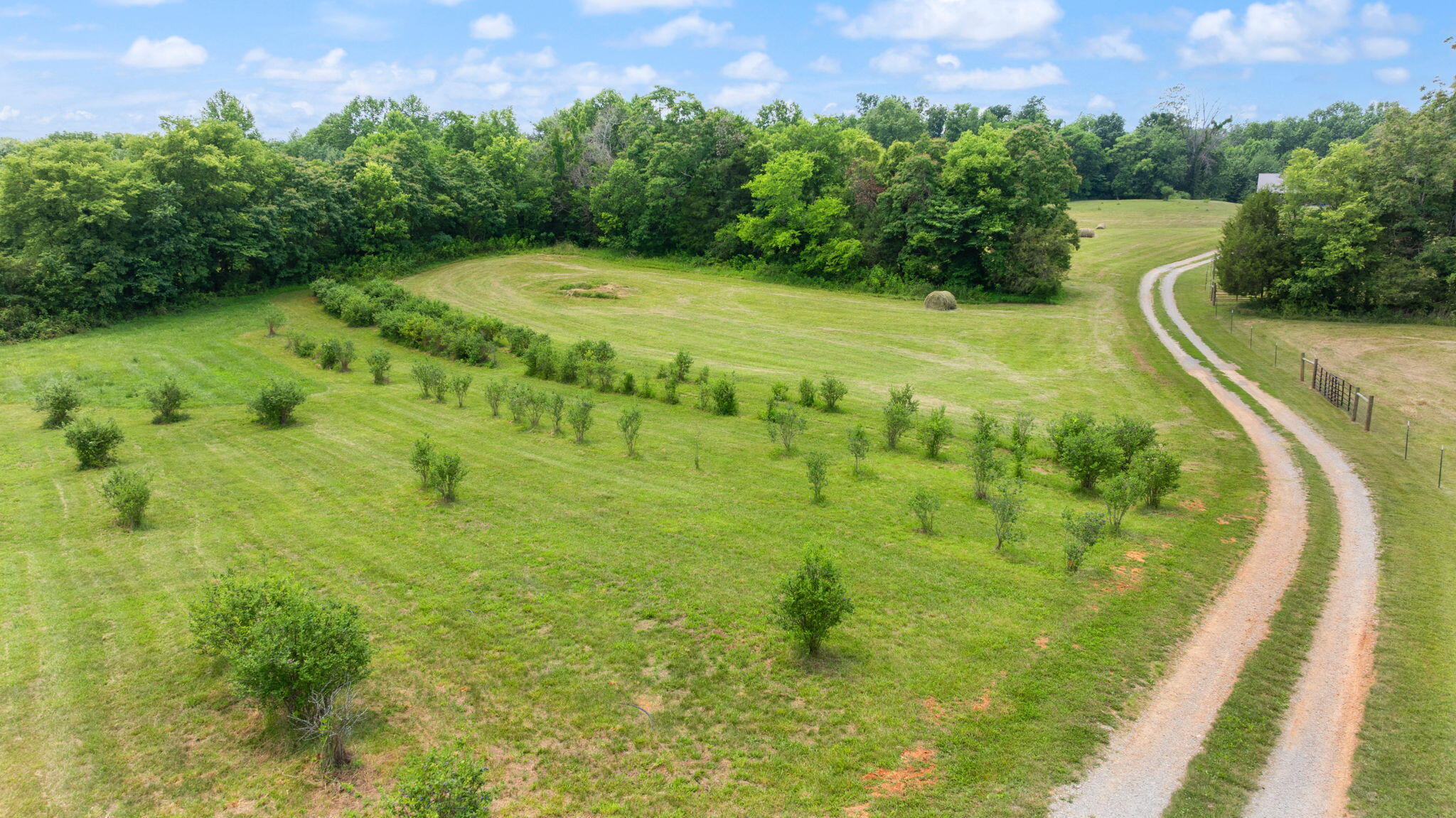 1717 Halltown Road Canmer, KY 42722 - Photo 39 of 83 69-web-or-mls-DJI_20260606141538_0501_D