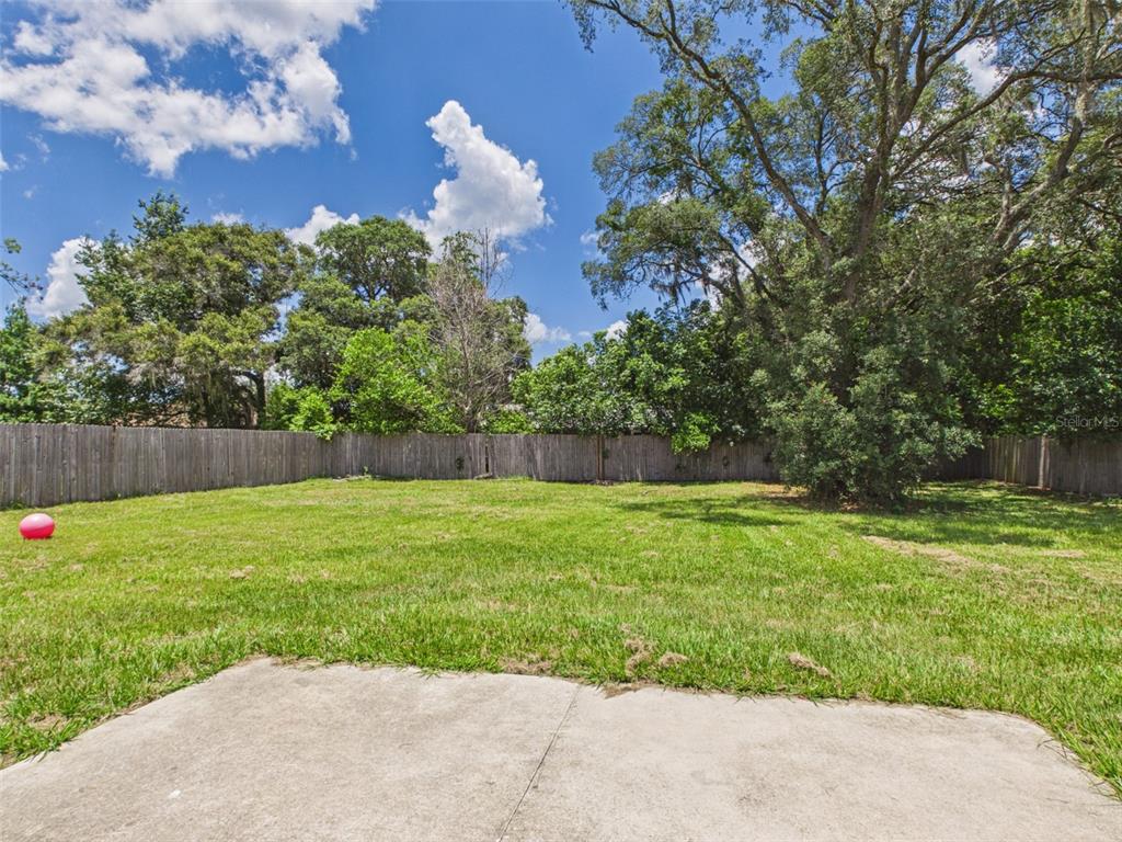 4309 Southwest 143rd Ln Road Ocala, FL 34473 - Photo 19 of 21 a view of a backyard