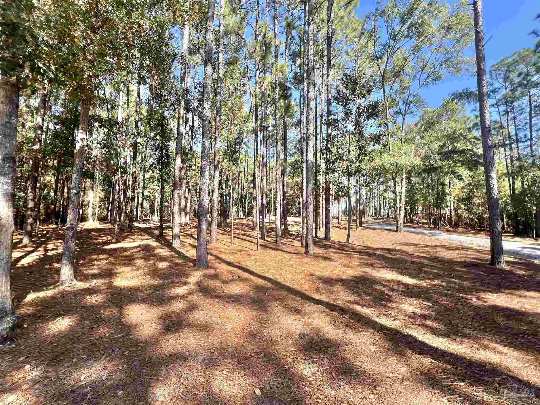 750 S Road Atmore, AL 36502 - Photo 29 of 36