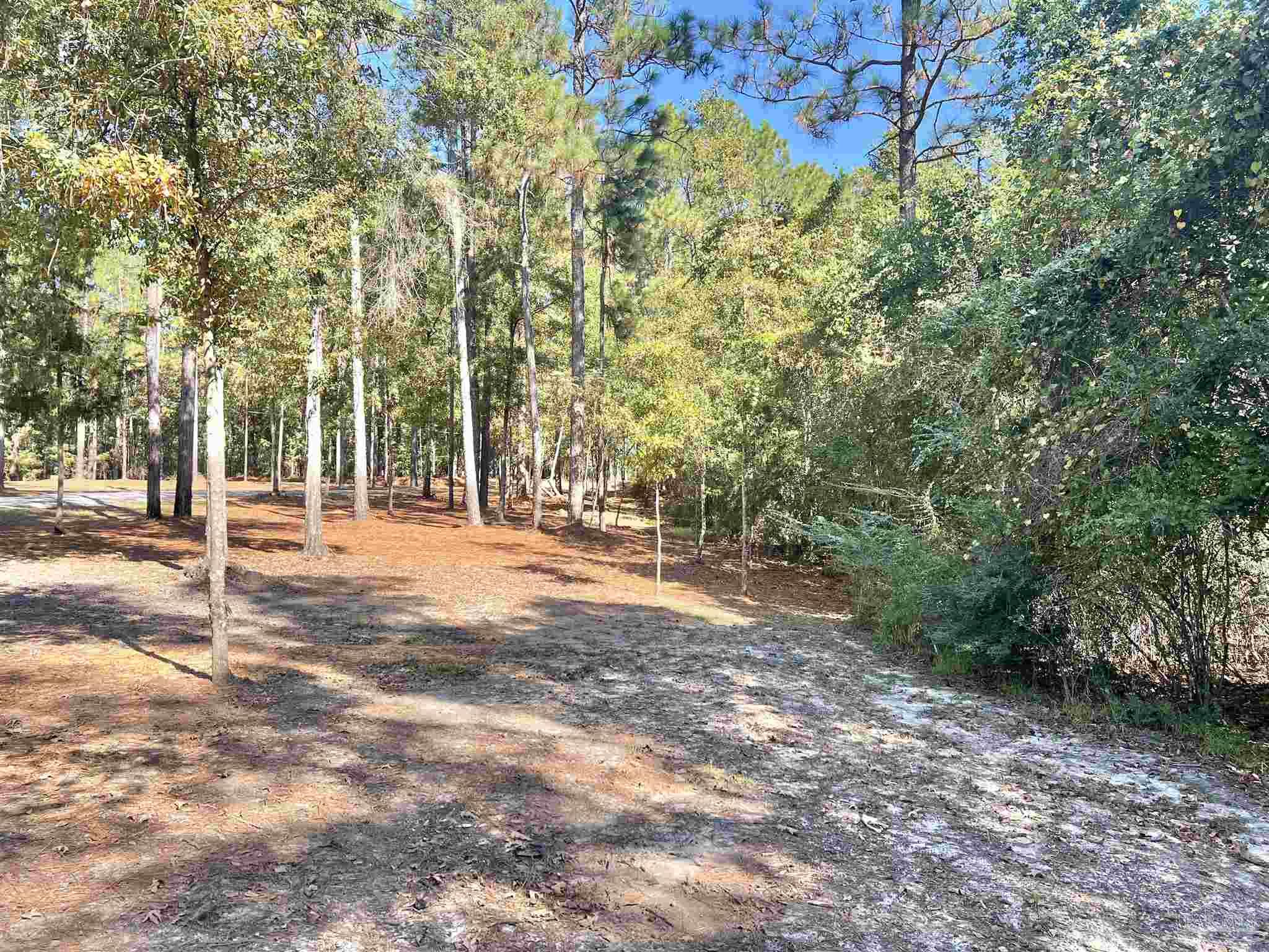 750 S Road Atmore, AL 36502 - Photo 31 of 36