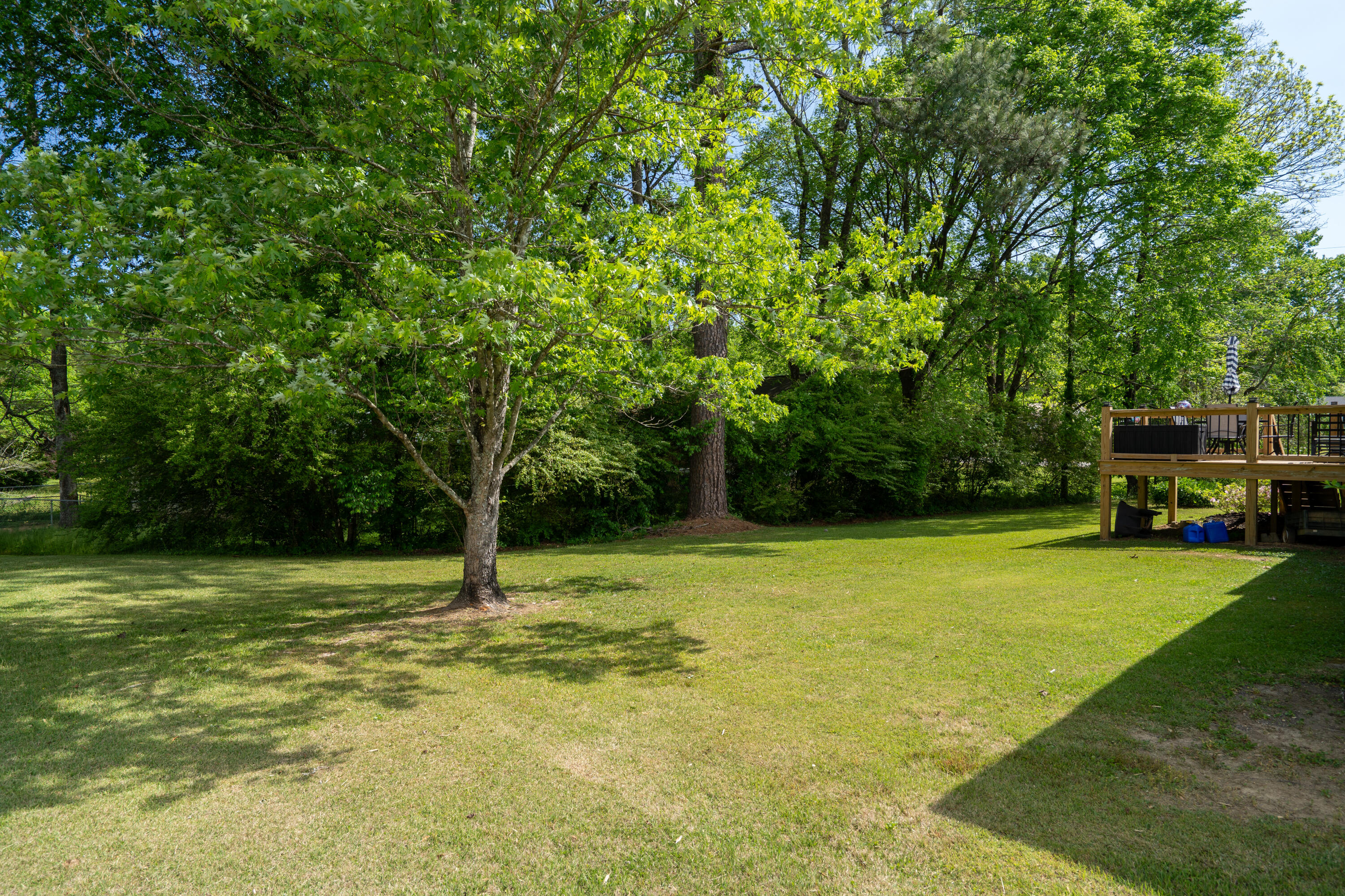 302 Johnson Street LaFayette, GA 30728 - Photo 3 of 35 Level backyard
