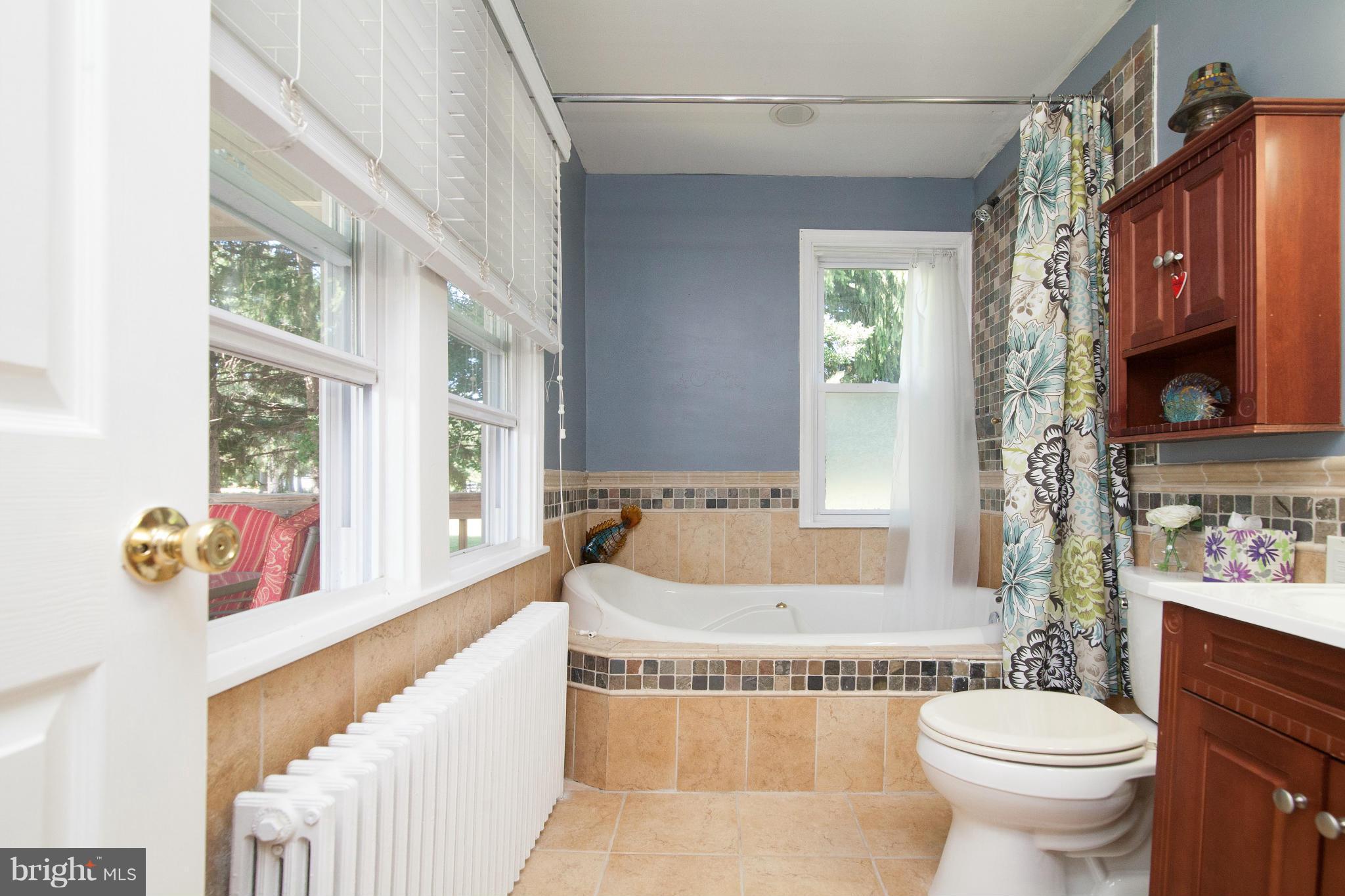 616 Streaker Road Sykesville, MD 21784 - Photo 17 of 28 Bath w/jetted tub