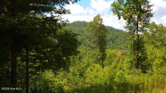 Lot 16 Tyler Ridge Murphy, NC 28906 - Photo 6 of 6