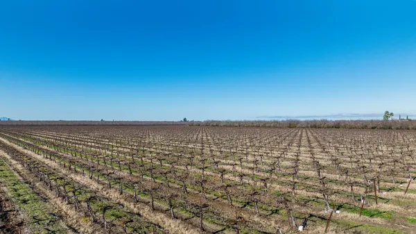 a view of a yard with trees