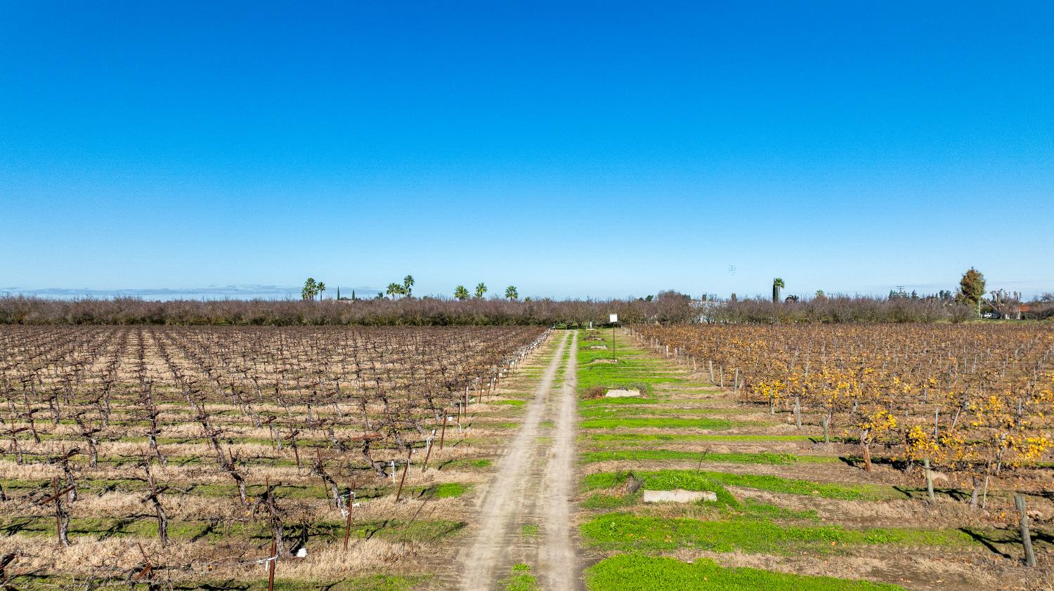 2521 Coelho Road Manteca, CA 95336 - Photo 21 of 29