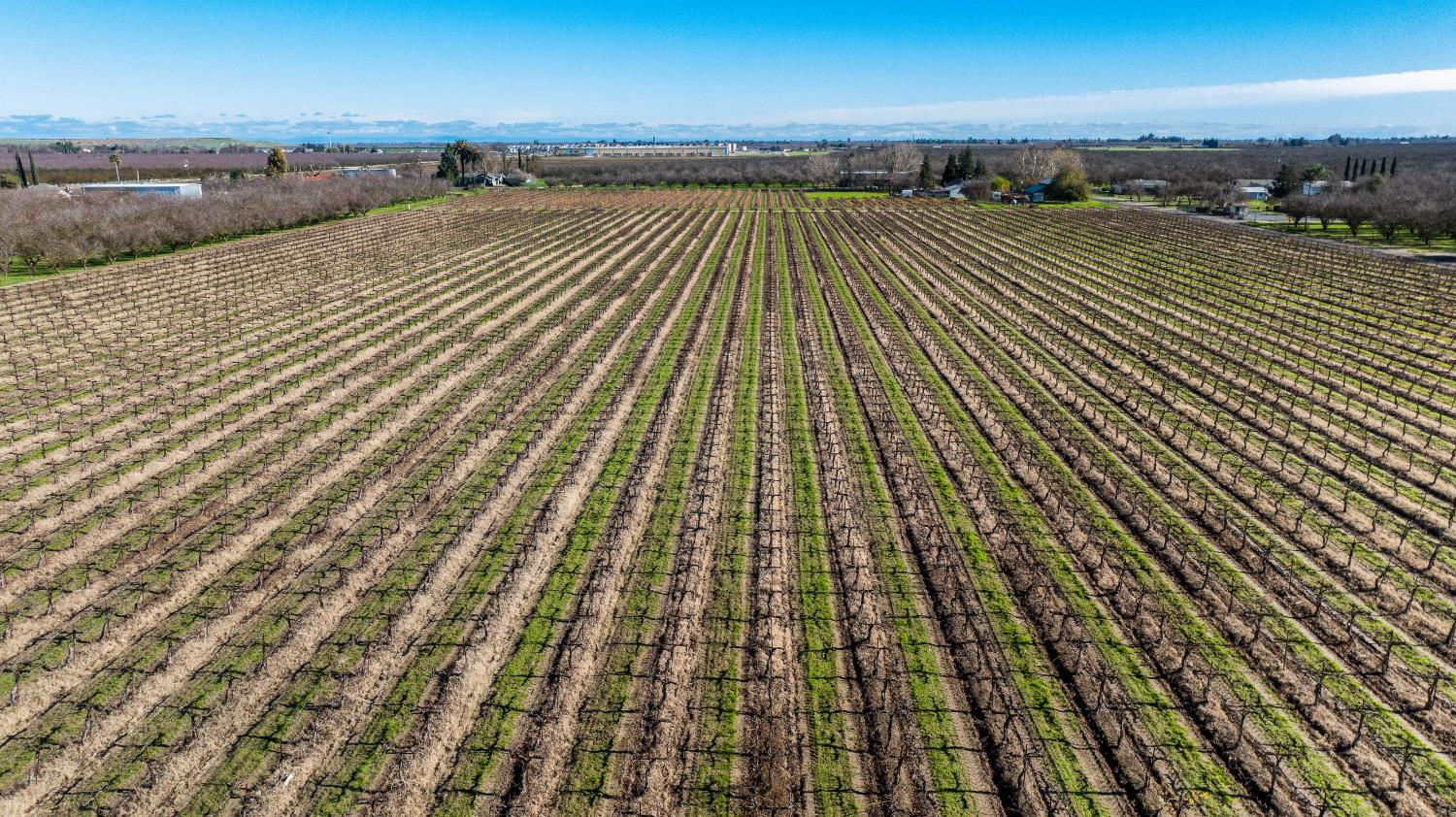 2521 Coelho Road Manteca, CA 95336 - Photo 23 of 29