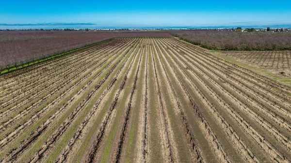 $6,952,500 | 2521 Coelho Road, Manteca, CA 95336