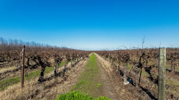 $6,952,500 | 2521 Coelho Road, Manteca, CA 95336