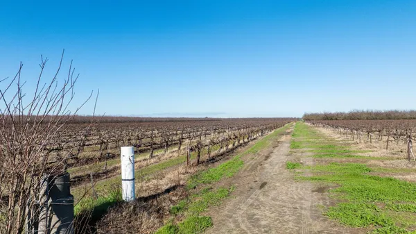 $6,952,500 | 2521 Coelho Road, Manteca, CA 95336