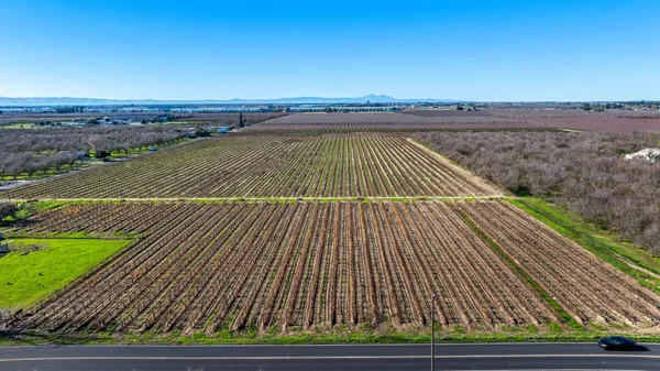 a garden view with a seating space