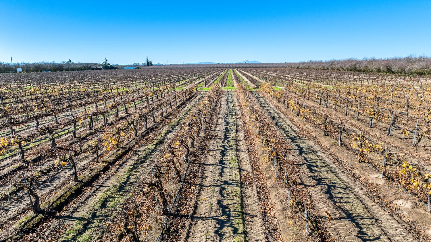 2521 Coelho Road Manteca, CA 95336 - Photo 10 of 29 a view of a lake