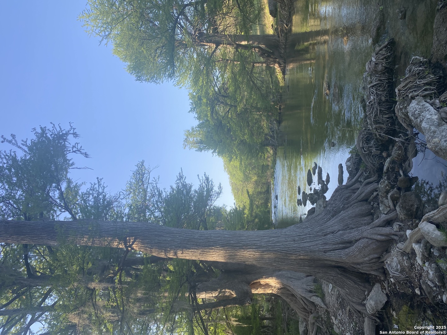 1160 Whispering Water Spring Branch, TX 78070 - Photo 11 of 19