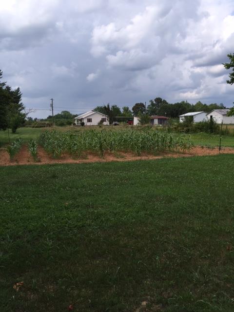 545 Byars Road McMinnville, TN 37110 - Photo 21 of 25 Gallery Image 21