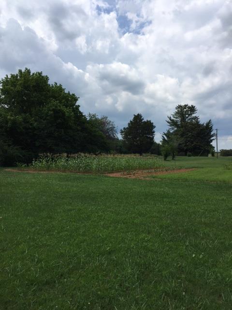 545 Byars Road McMinnville, TN 37110 - Photo 23 of 25 Gallery Image 23