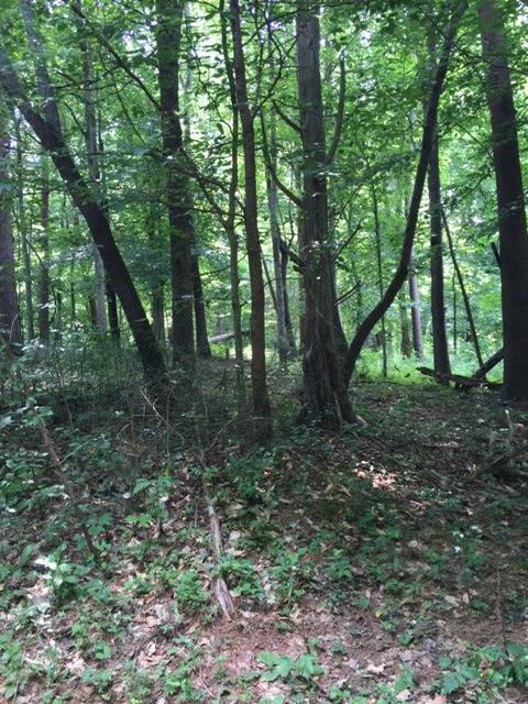 545 Byars Road McMinnville, TN 37110 - Photo 24 of 25 Gallery Image 24