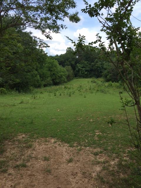 545 Byars Road McMinnville, TN 37110 - Photo 25 of 25 Gallery Image 25