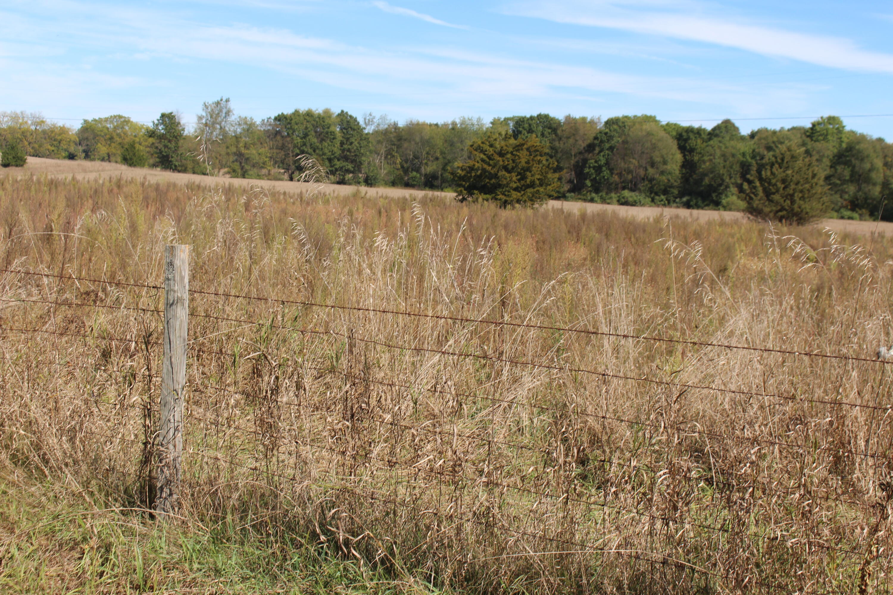 0 Burtch Parcel 1 Road Grass Lake, MI 49240 - Photo 2 of 2 2