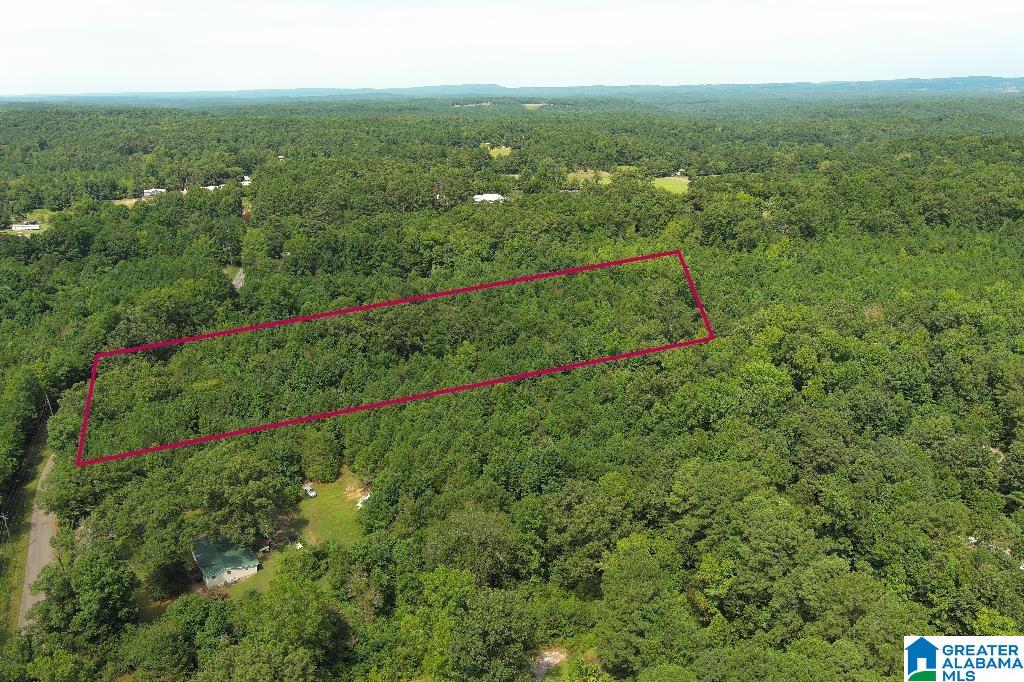 0 Tawbush Road, Unit 16 Trafford, AL 35172 - Photo 2 of 11