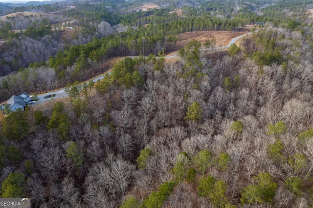 a view of a lush green forest with trees and some houses