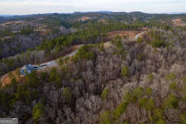 a view of a forest with a street