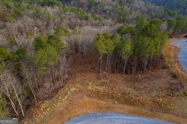 a view of a field with a mountain in the background