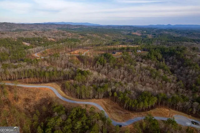 a view of a garden with a tree