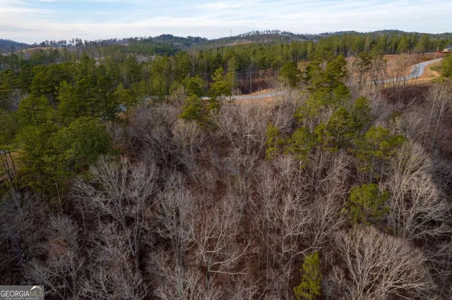 a view of a backyard of the house