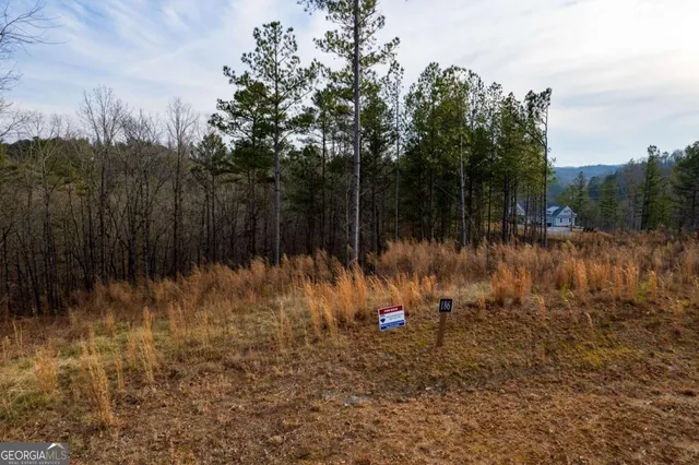 a view of a dry yard with trees