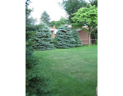 869 Shadycrest Road Beechview, PA 15216 - Photo 9 of 11 Yard/Garden.