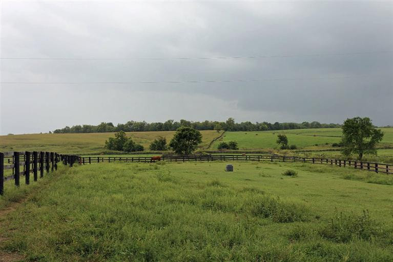 284 Escondida Road Paris, KY 40361 - Photo 20 of 22 Photo 20