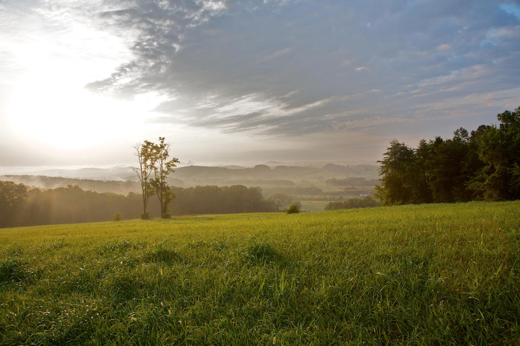 904 James Ridge Road Loudon, TN 37774 - Photo 5 of 5 James Ridge Subdivision Views