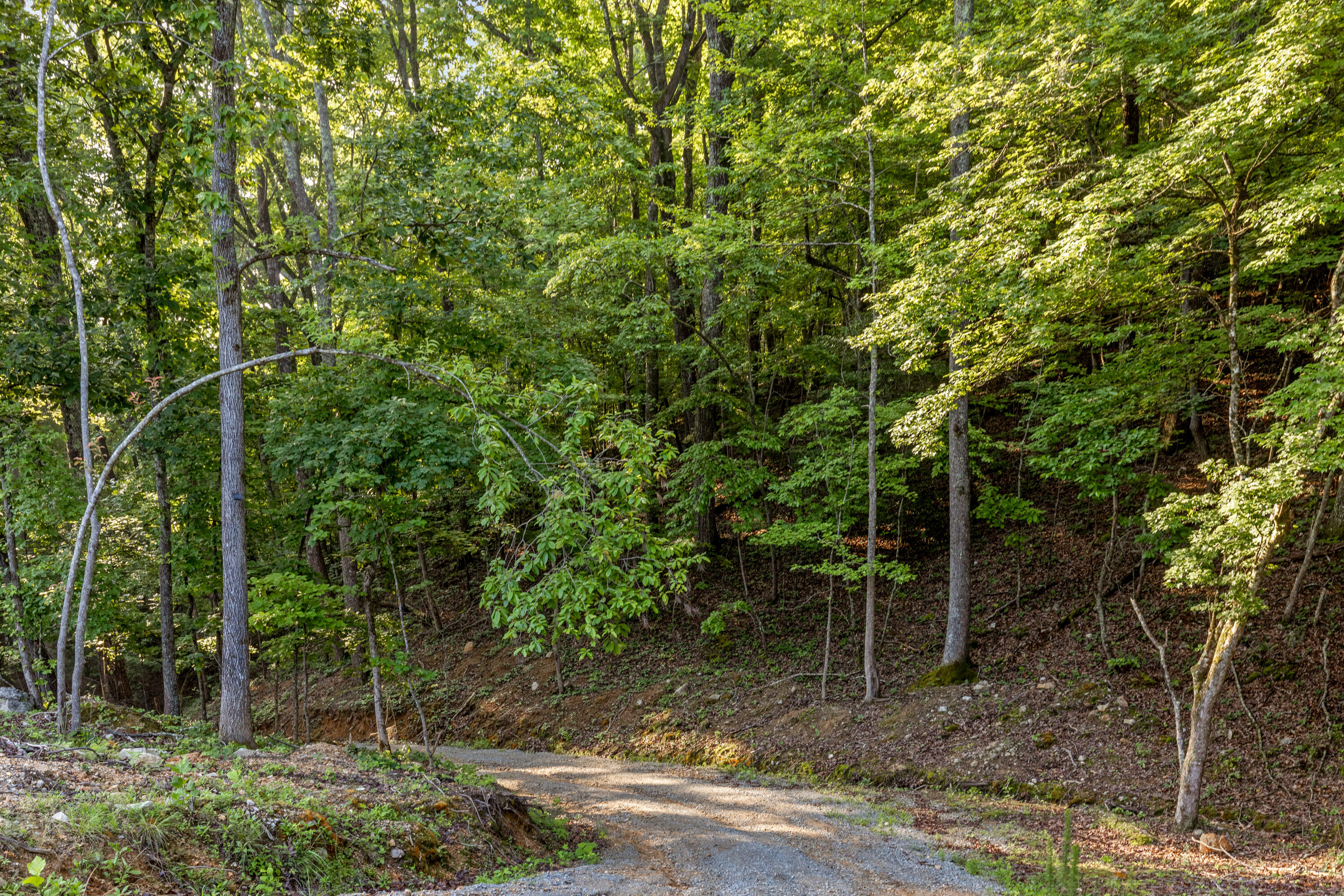 260 Lakeside Lodge Road Spring City, TN 37381 - Photo 104 of 175 Lakeside-98