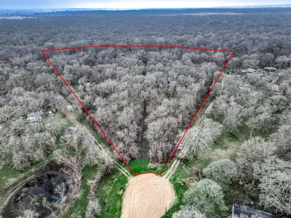 a view of a dry yard with lots of trees