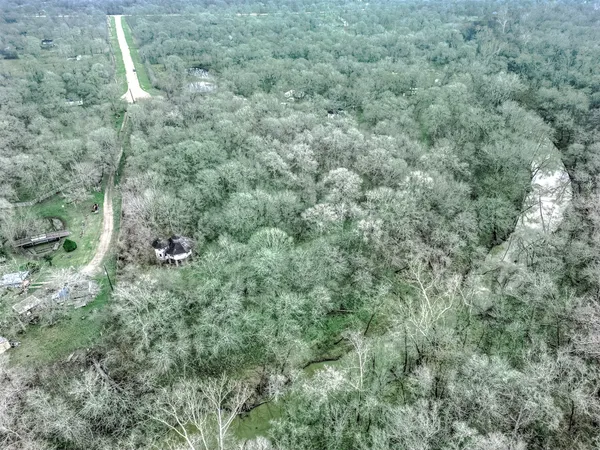 a view of a forest with houses